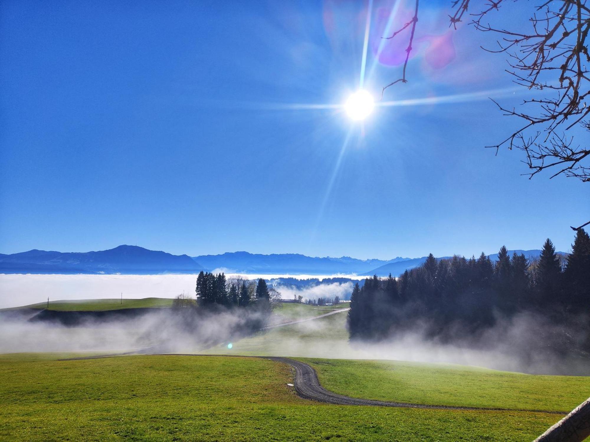 Alpseegruenten - Die Ferienwohnung Immenstadt im Allgäu Εξωτερικό φωτογραφία